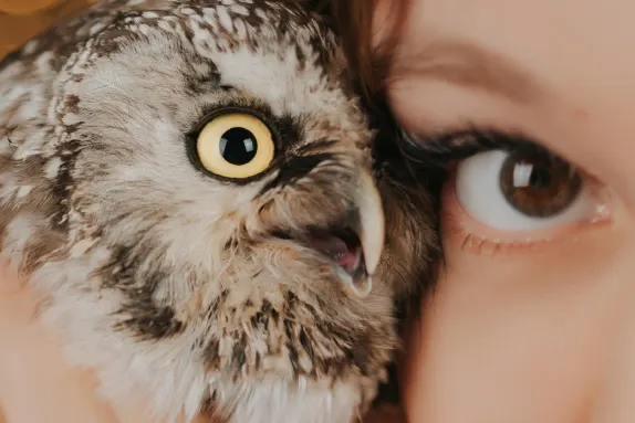 CasinoCasino Kasino Podrška